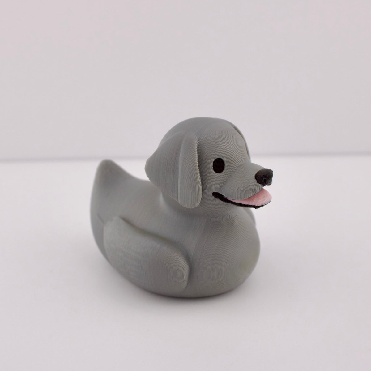 Silver Labrador Duck