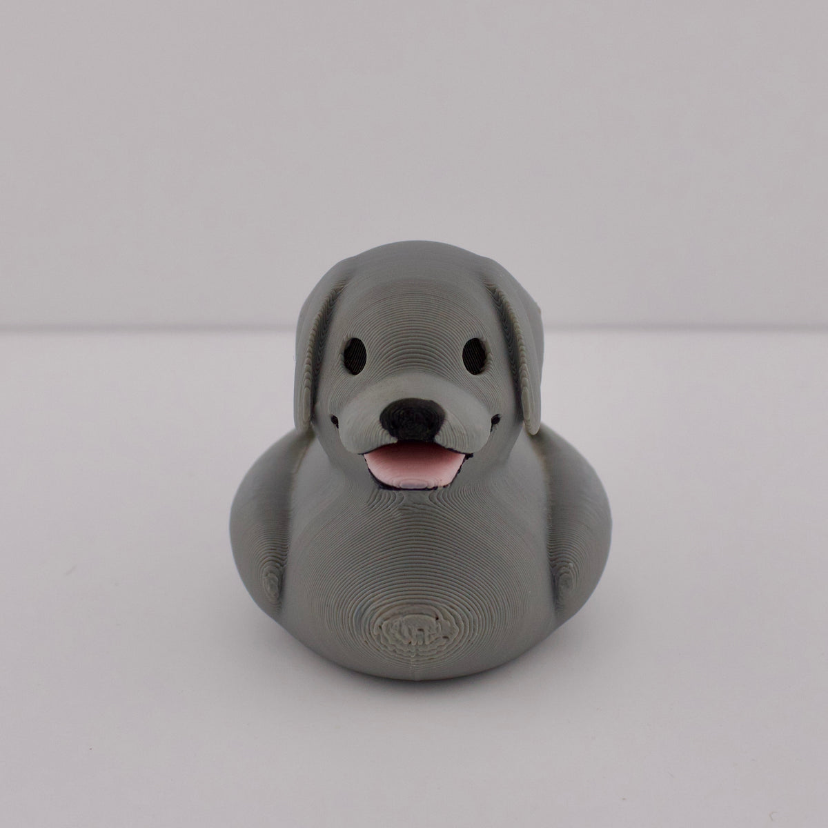 Silver Labrador Duck
