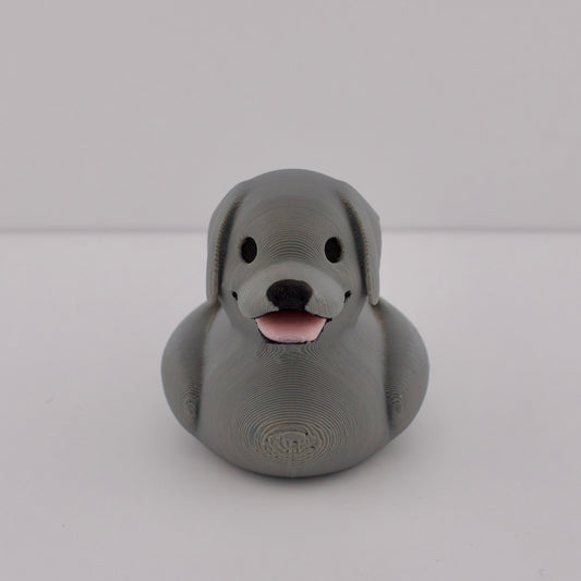 Silver Labrador Duck