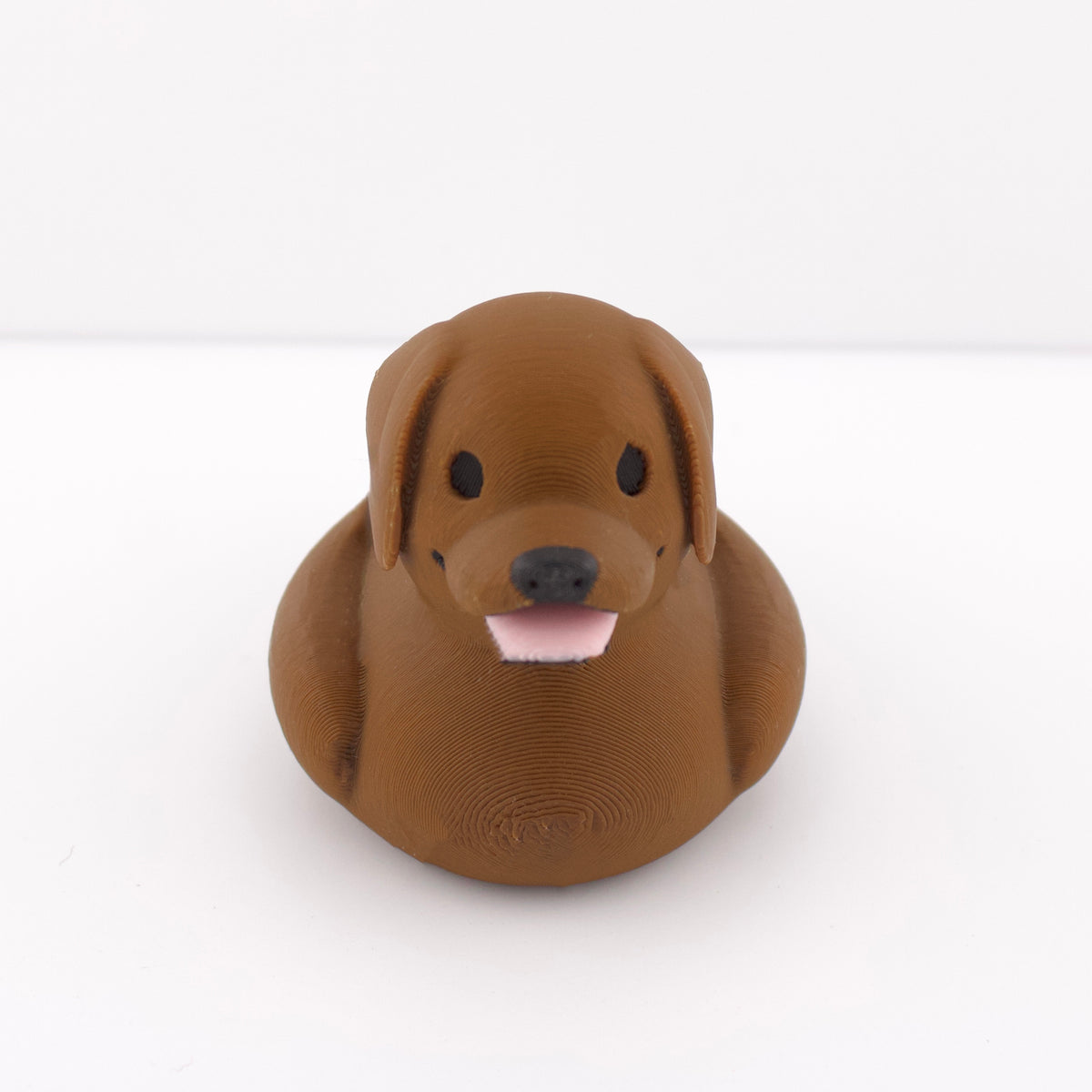 Chocolate Labrador Duck