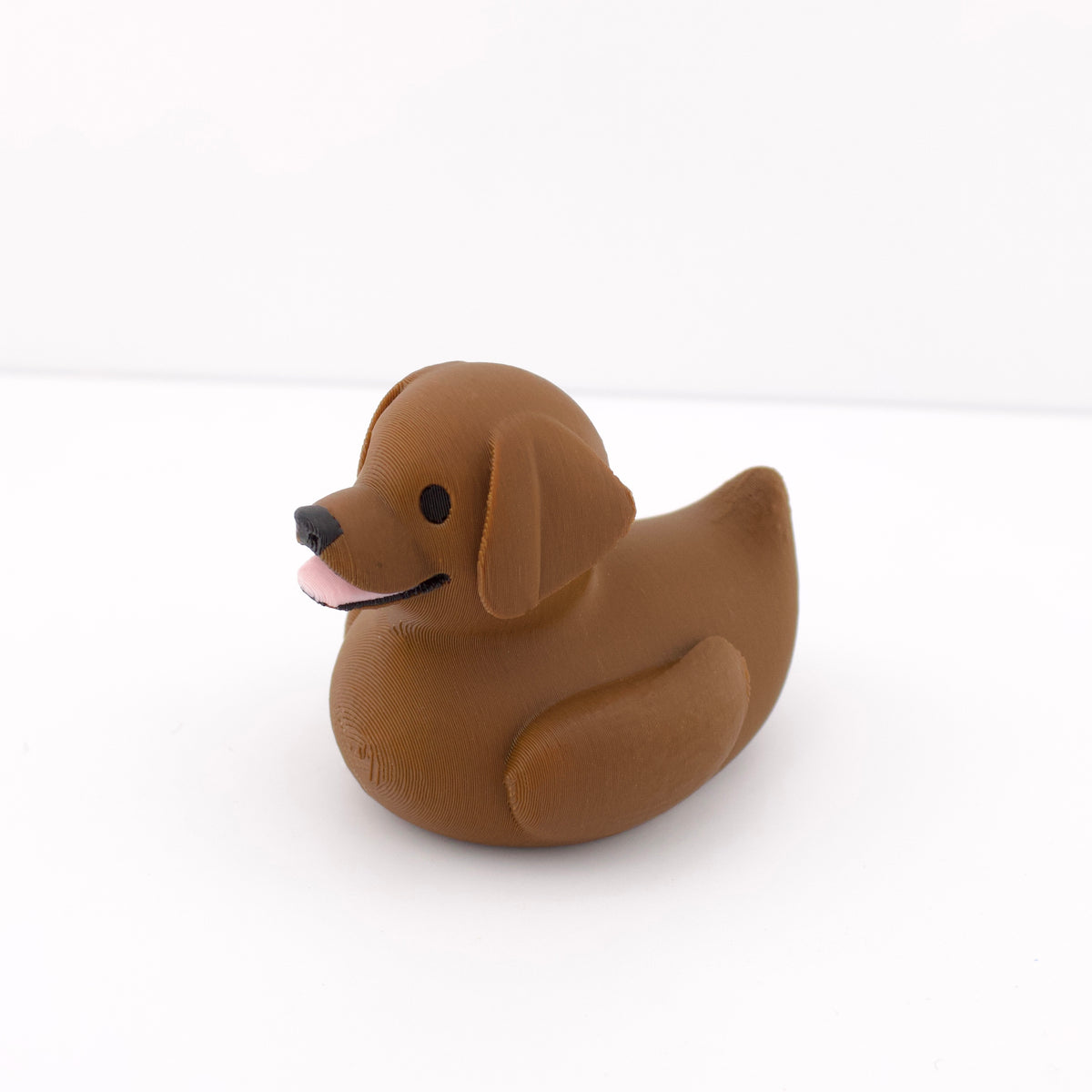 Chocolate Labrador Duck